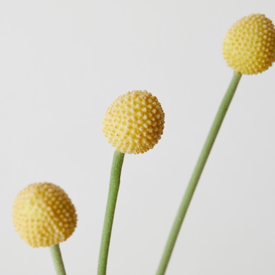 Faux Billy Ball Stem West Elm UK